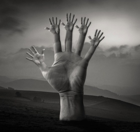 5649357187_fdcb35f62b_b