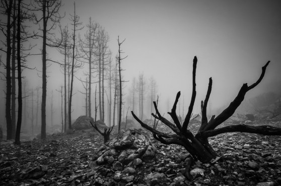 raico-rosemberg-teide-storm_121103_8605