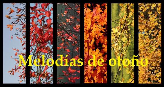 tumblr_ntzjeqfeln1tkj480o1_1280